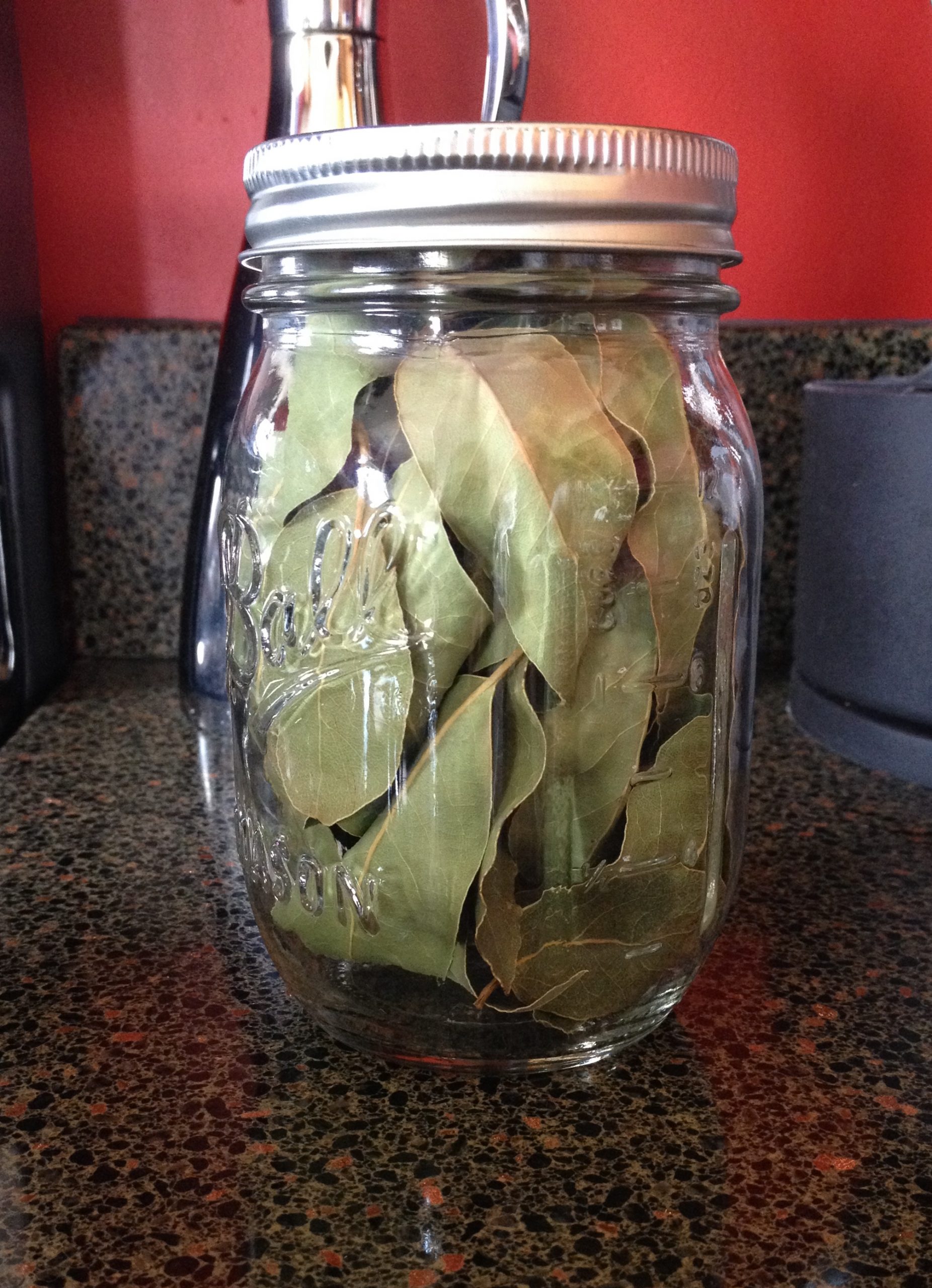 dehydrating-bay-leaves-the-canning-diva
